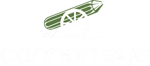 cannoneye advertising private limited
